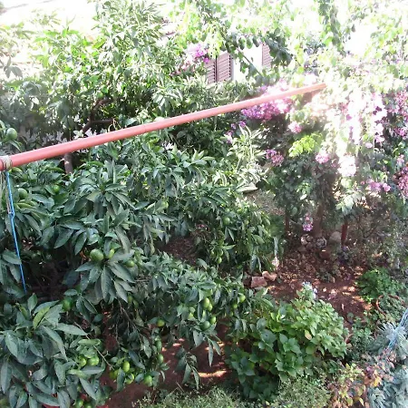 Apartman Tara Apartman Póla